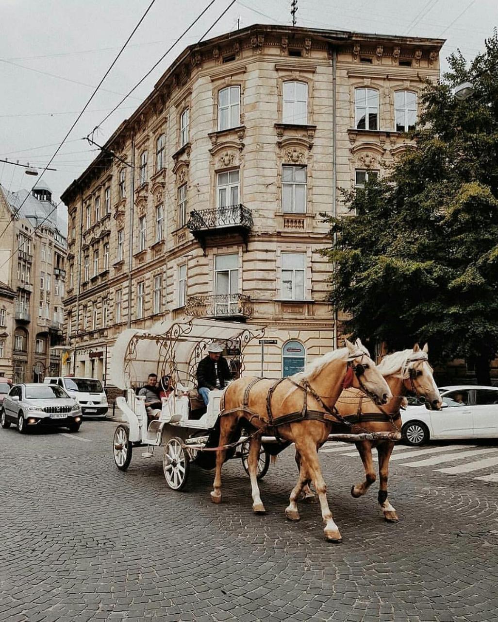 Staroevreyskaapart Λβιβ Εξωτερικό φωτογραφία